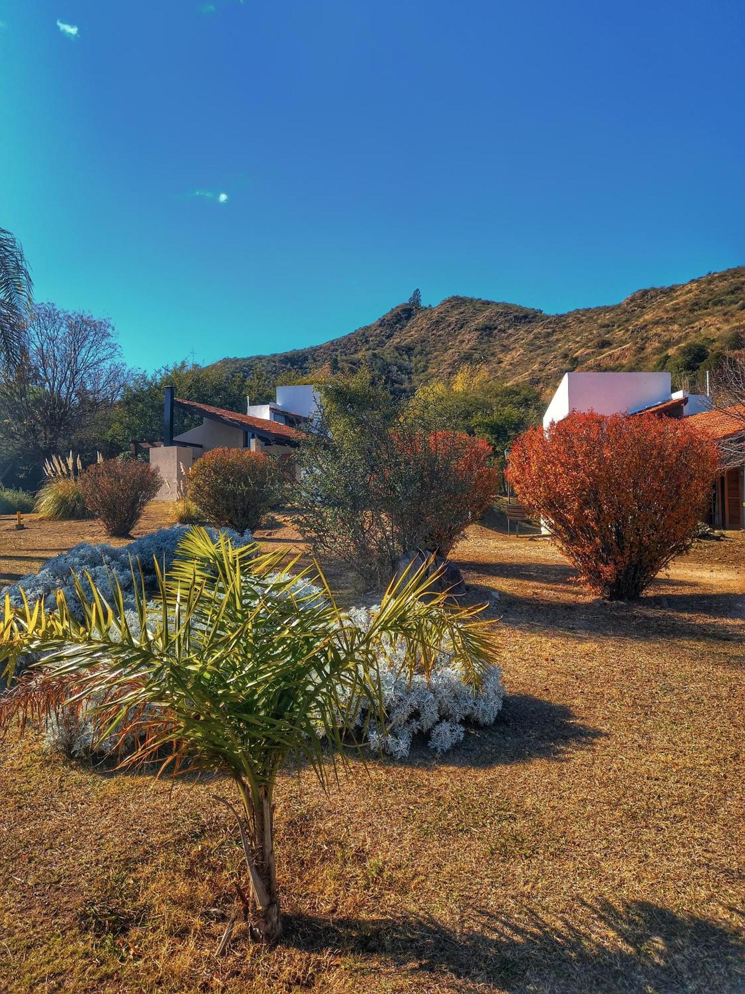 Hotel Harmonie De Montana - Adults Only